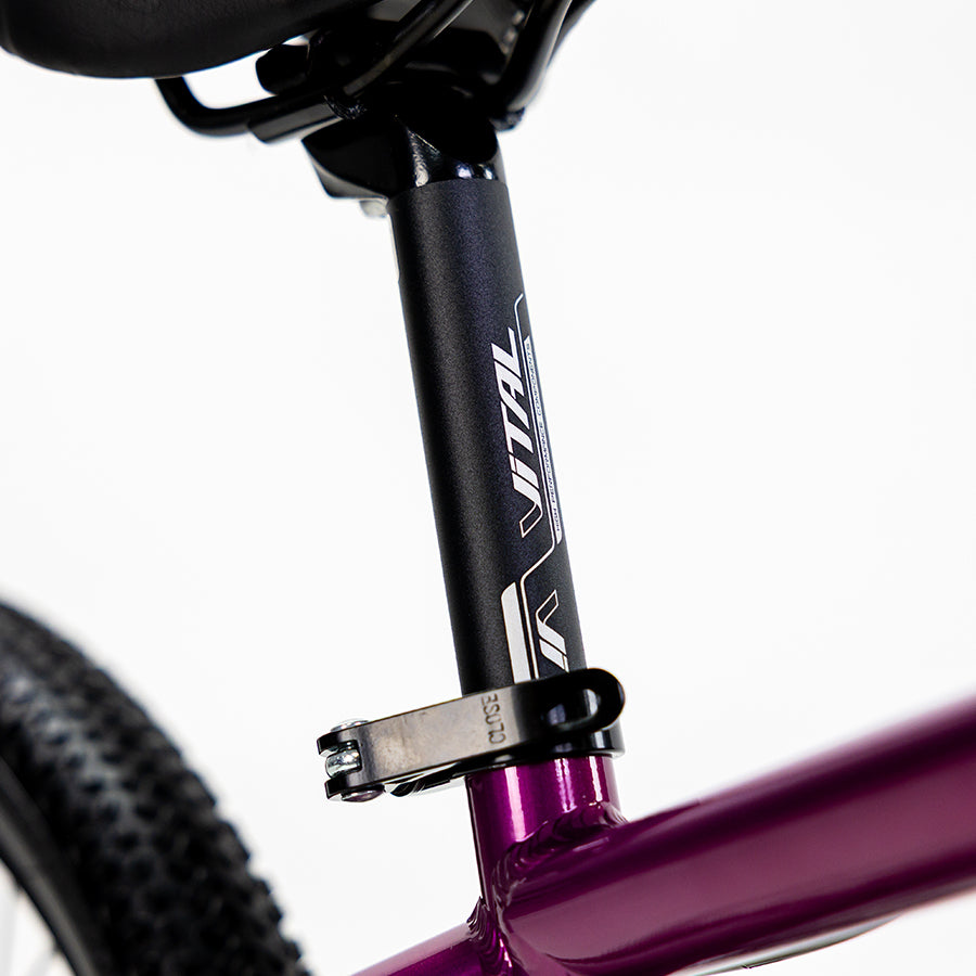 SIERRA 20"