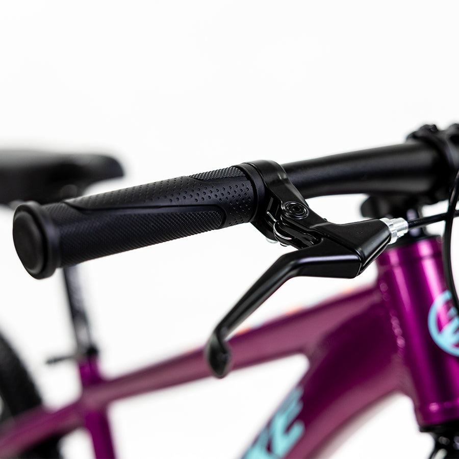 SIERRA 20"