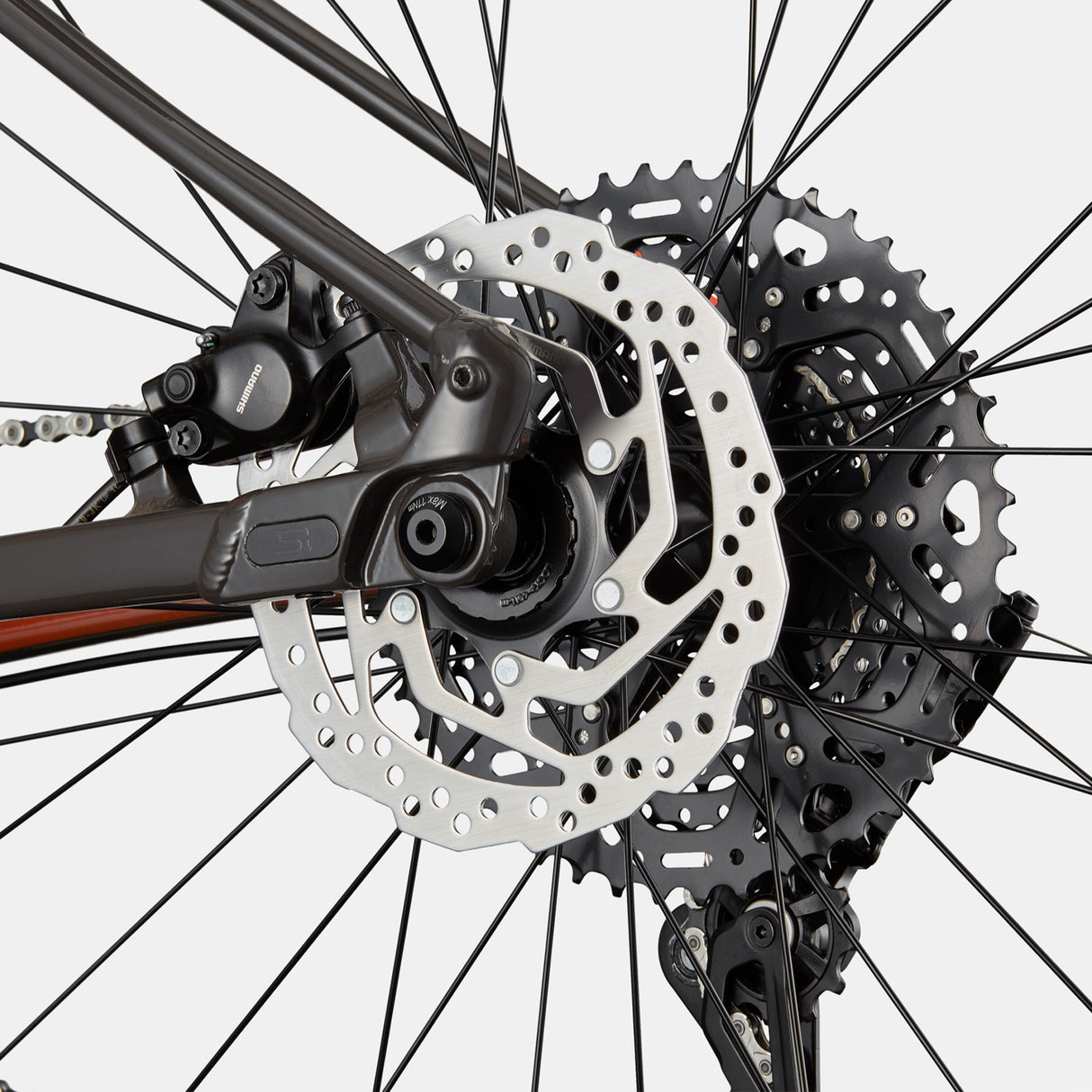 BICICLETA CANNONDALE TRAIL SL 4