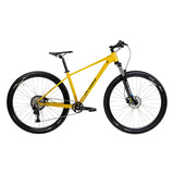 SIERRA 29"