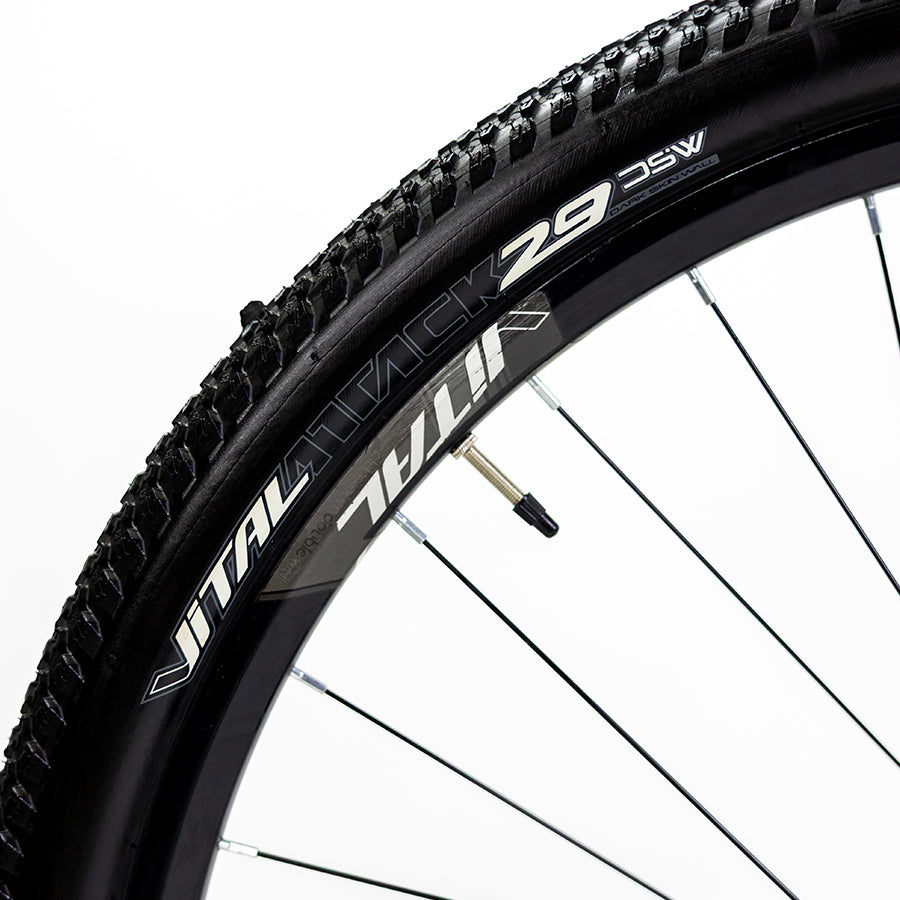 SIERRA 29"