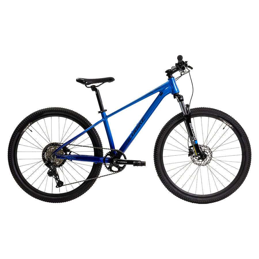 SIERRA 29"