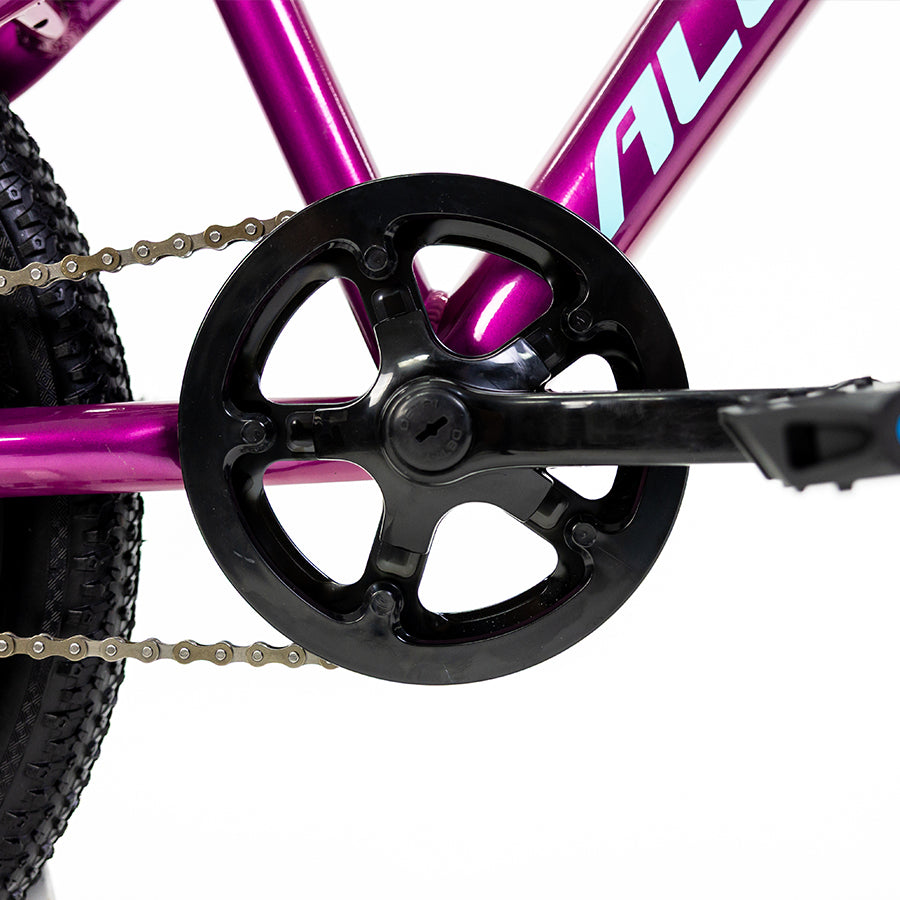 SIERRA 20"