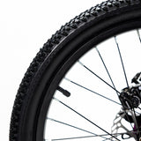 SIERRA 20"