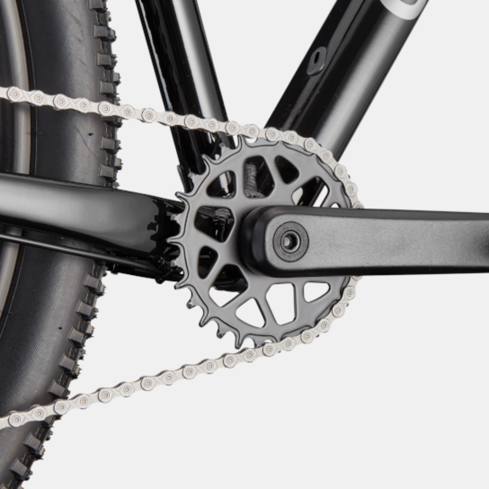 CANNONDALE TRAIL 2