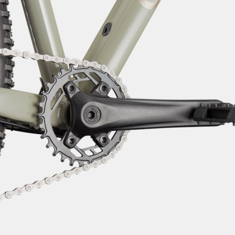 CANNONDALE TRAIL 1
