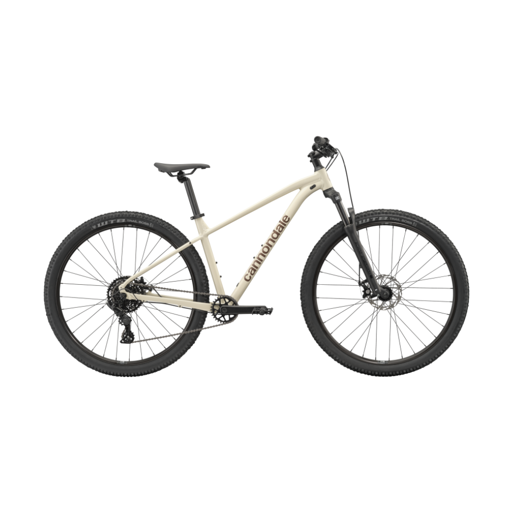 CANNONDALE TRAIL 3